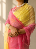 PANKHURI CHAAVN